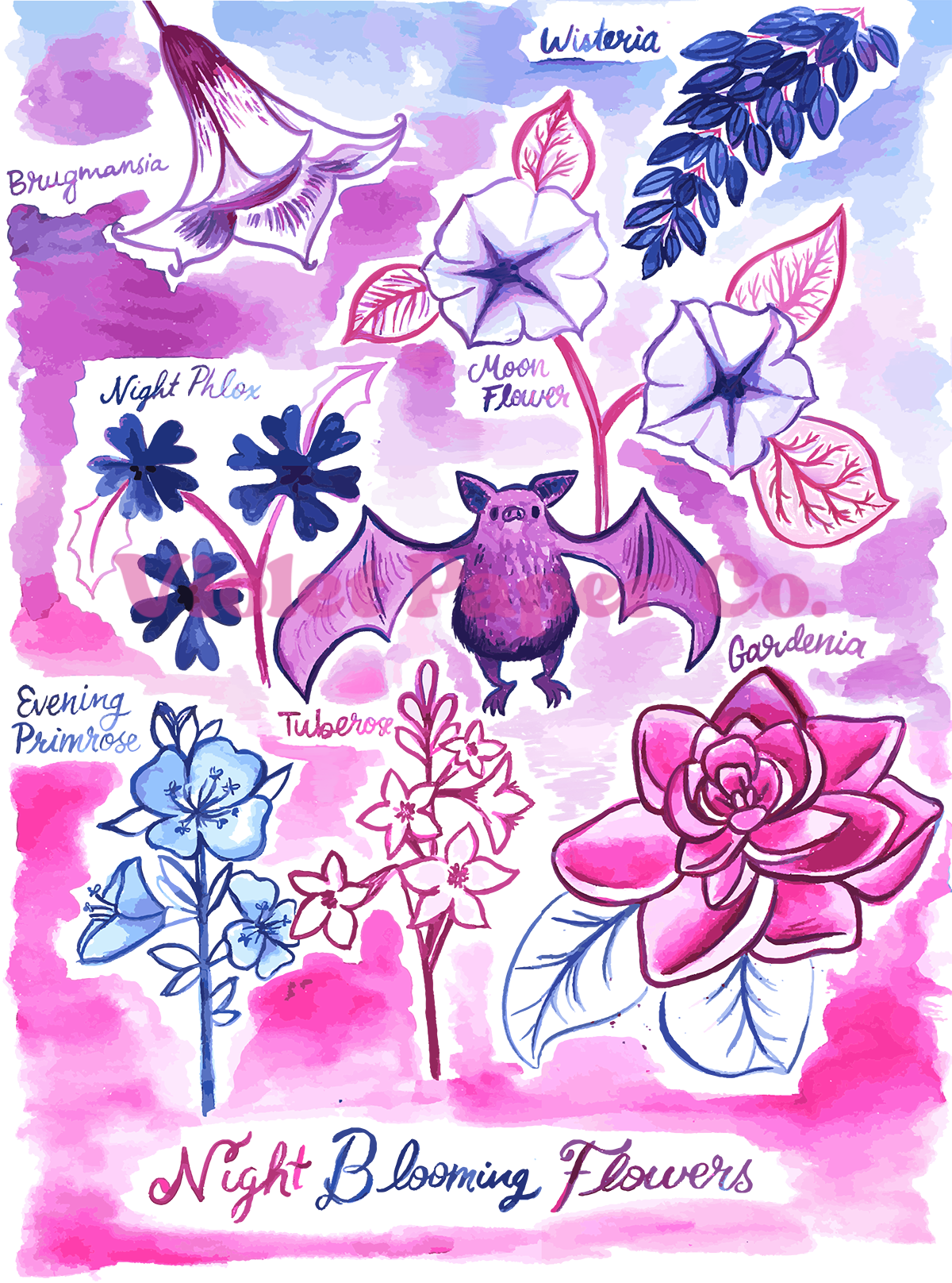 Night Blooming Flowers - Art Print
